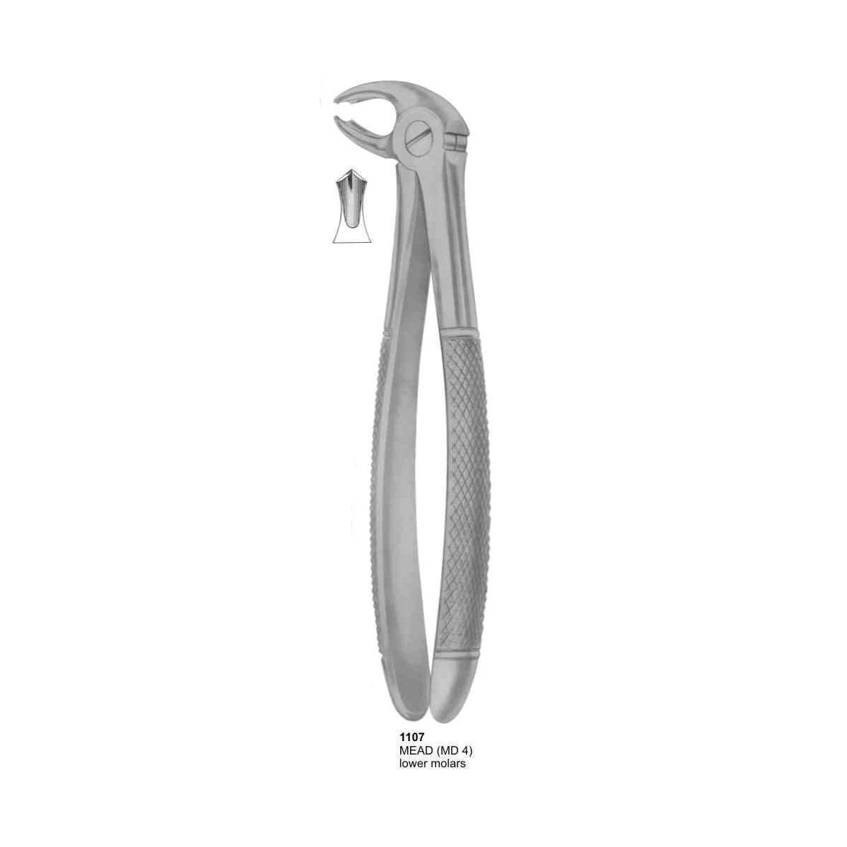 Extracting Forceps (English Pattern)