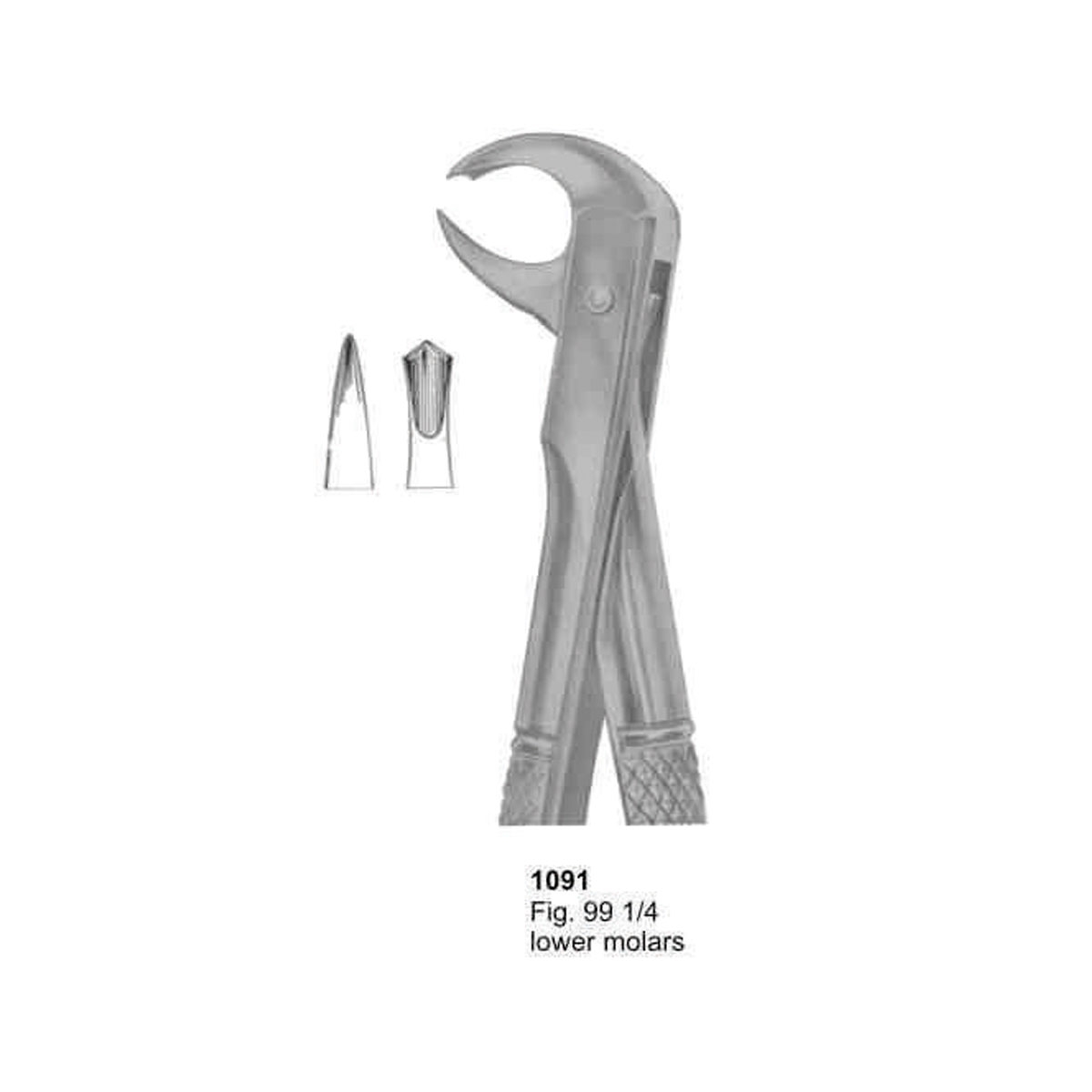 Extracting Forceps (English Pattern)