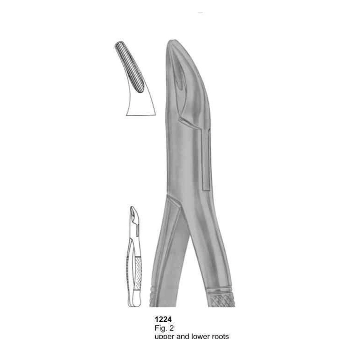 Extracting Forceps (American Pattern)