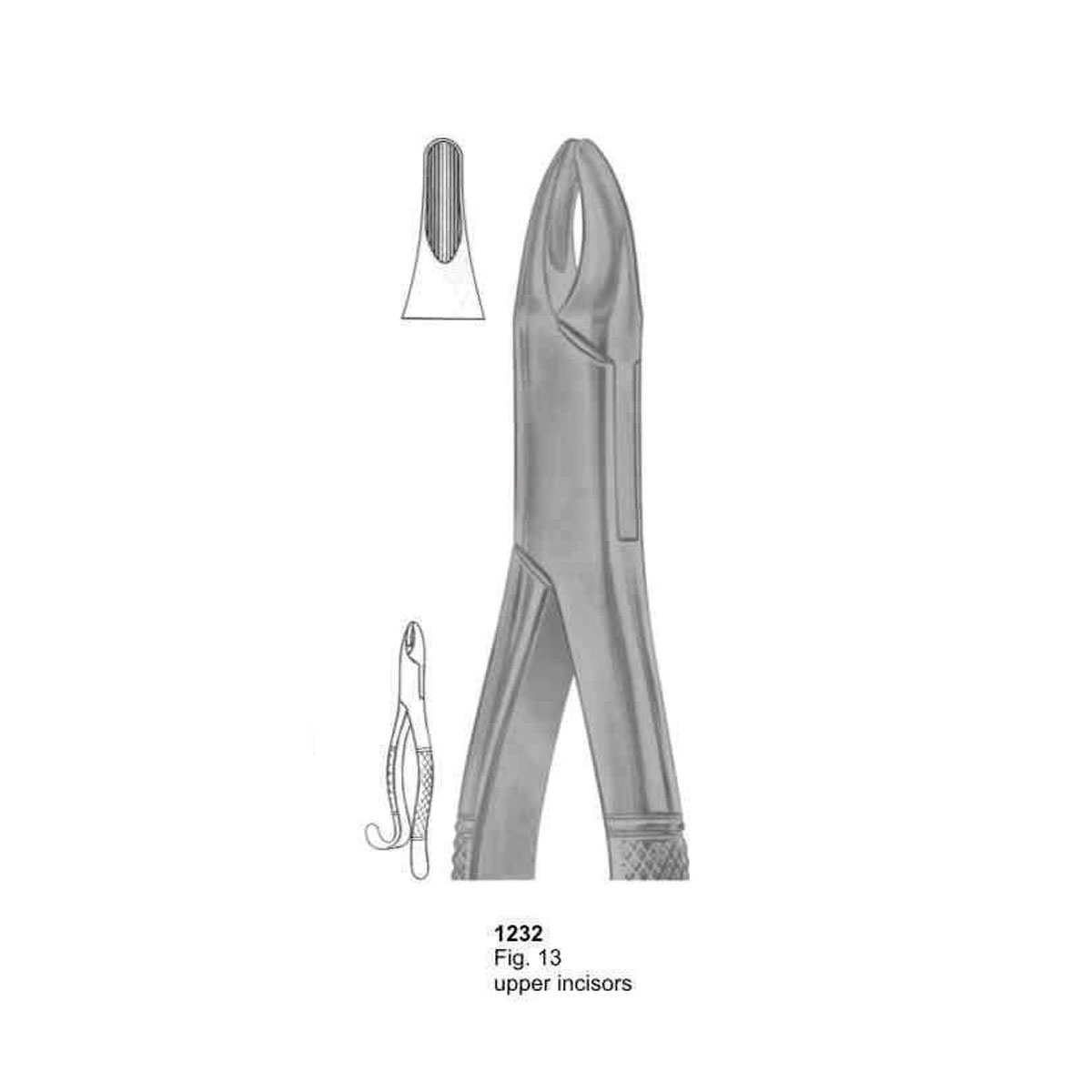 Extracting Forceps (American Pattern)