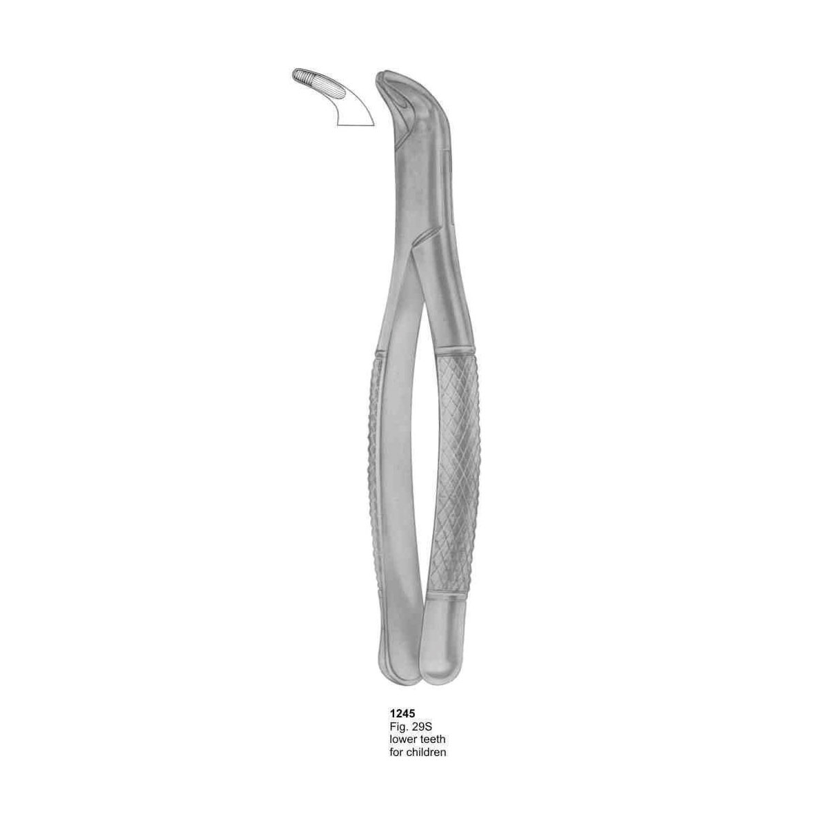 Extracting Forceps (American Pattern)