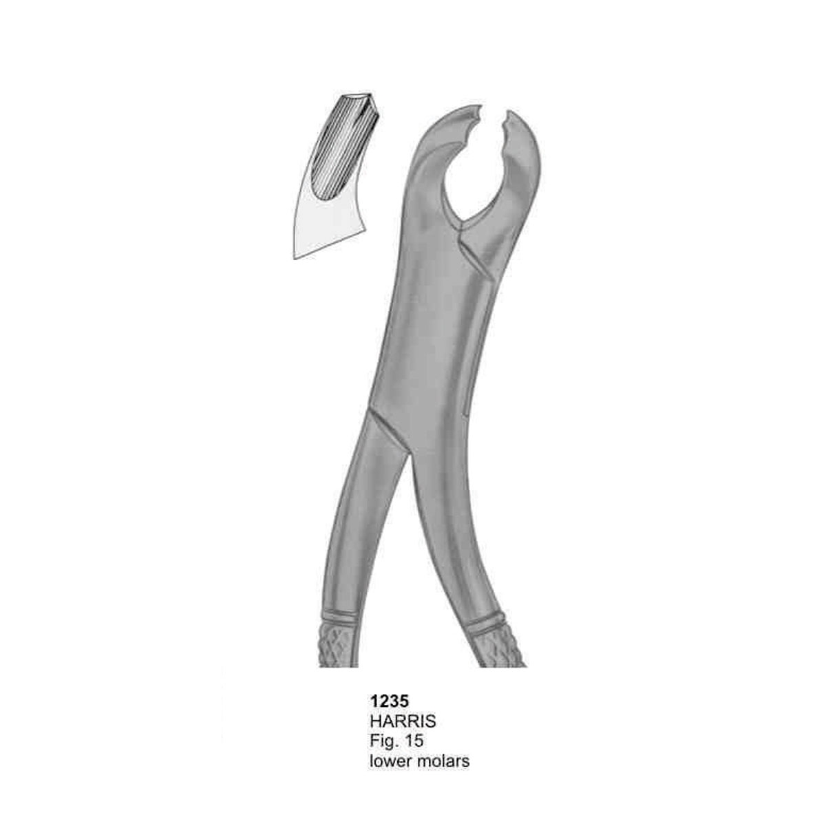 Extracting Forceps (American Pattern)