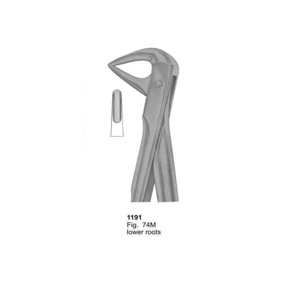 Extracting Forceps (With Fitting Handle)