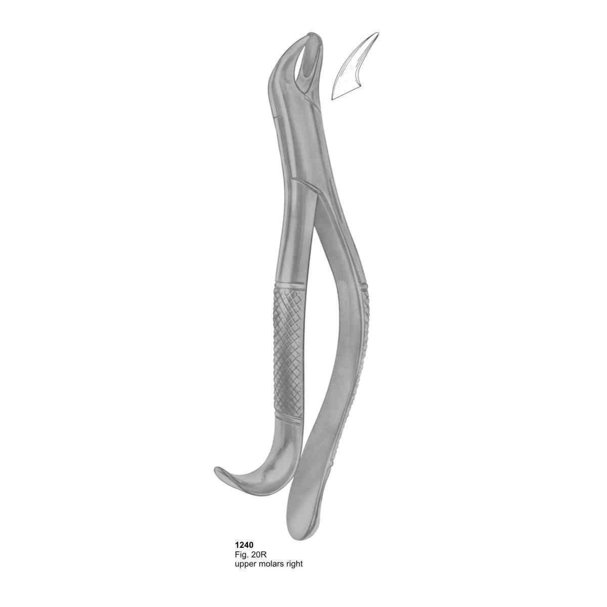  Extracting Forceps (American Pattern)