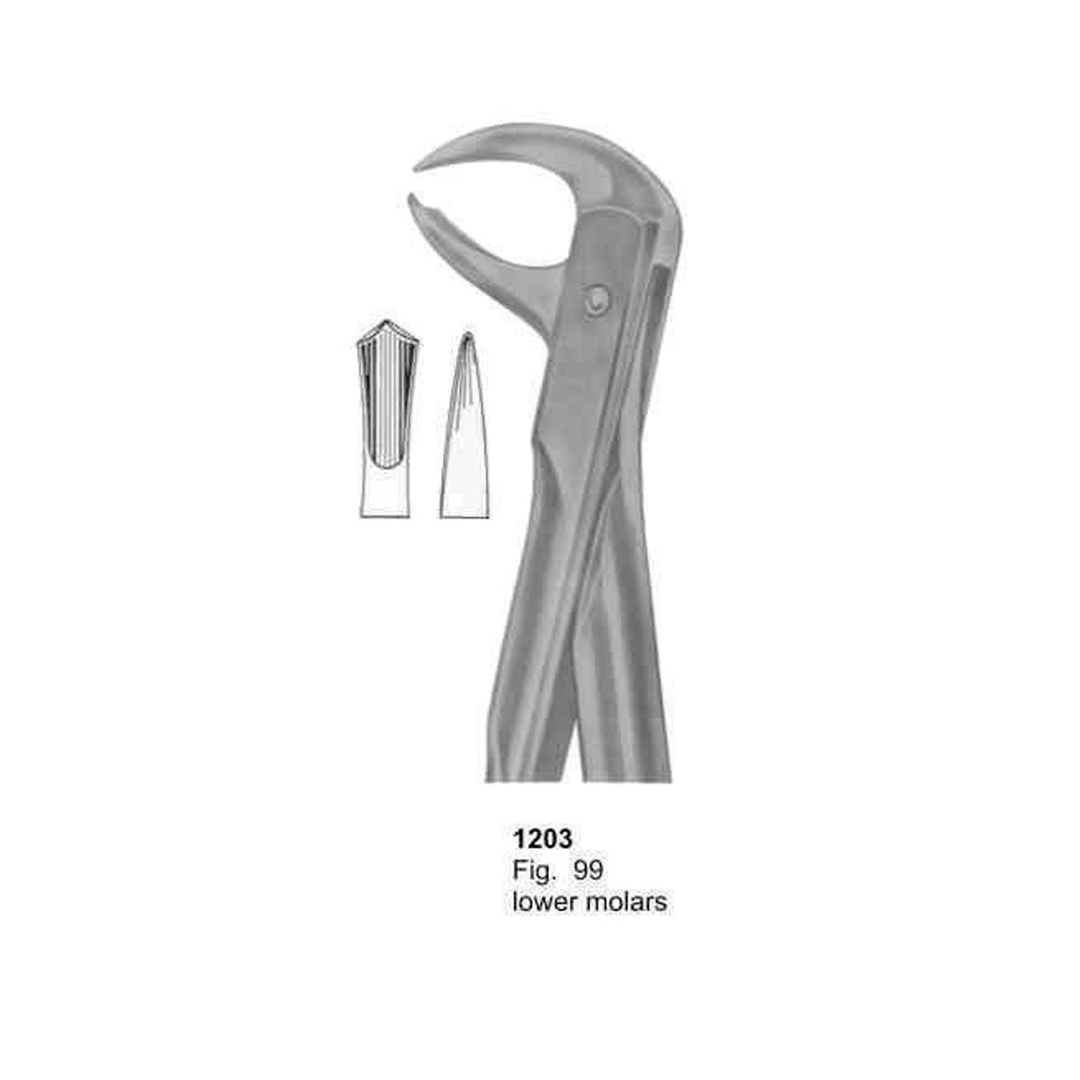 Extracting Forceps (With Fitting Handle)