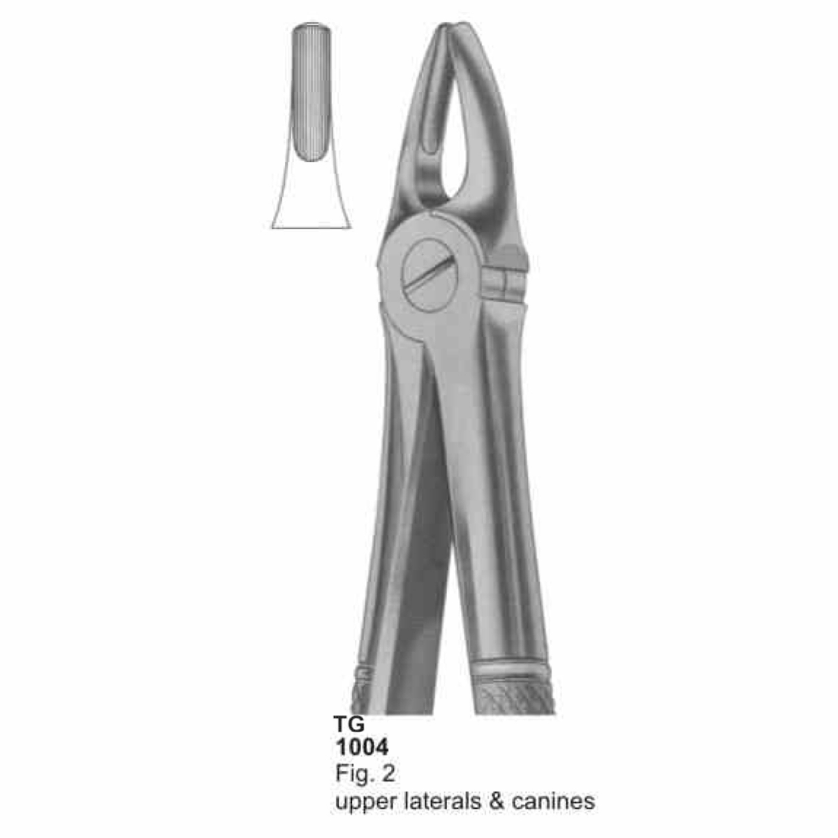 Extracting Forceps (English Pattern)