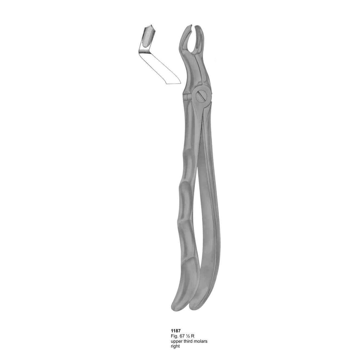 Extracting Forceps (With Fitting Handle)