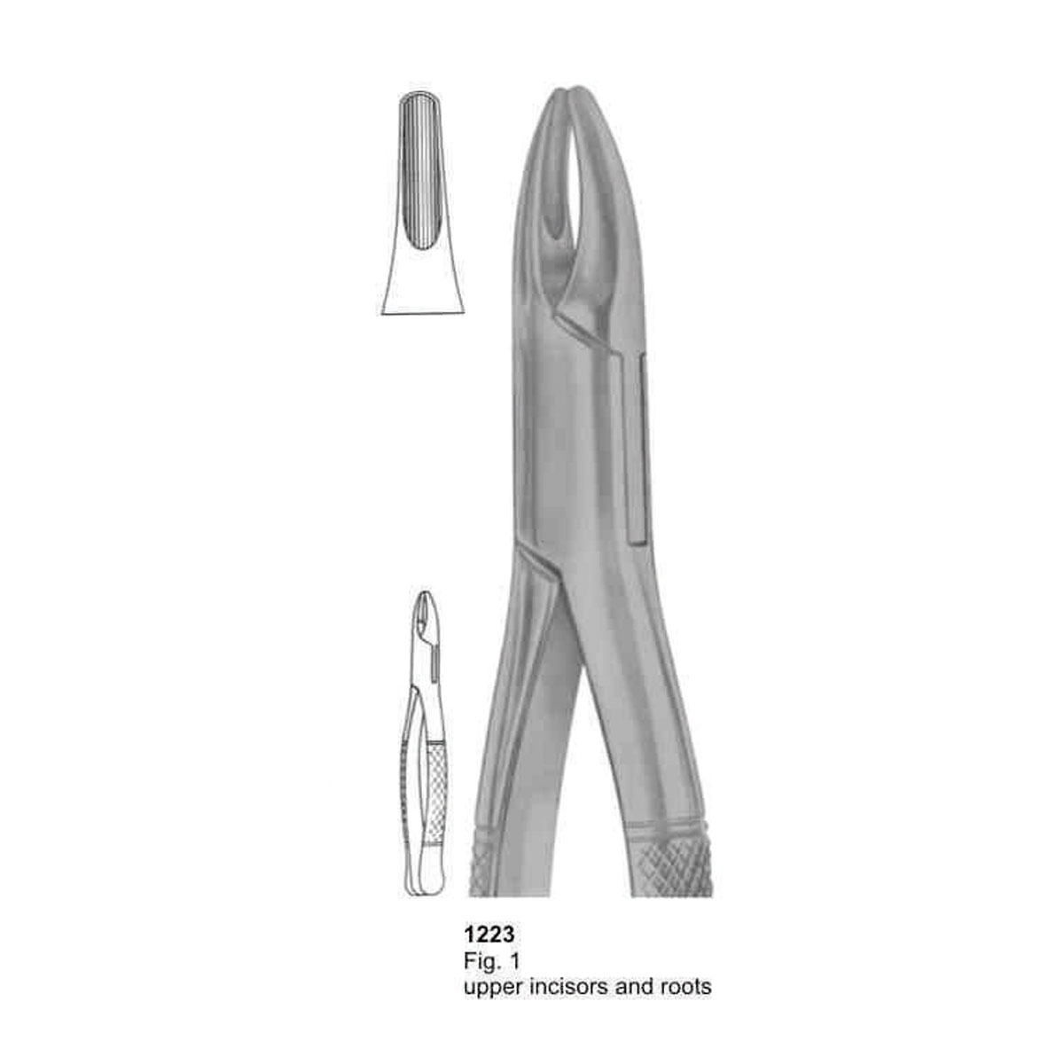 Extracting Forceps (American Pattern)