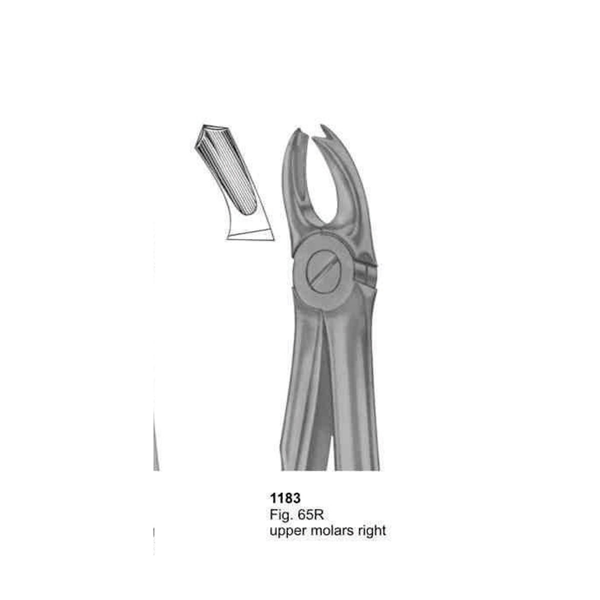 Extracting Forceps (With Fitting Handle)