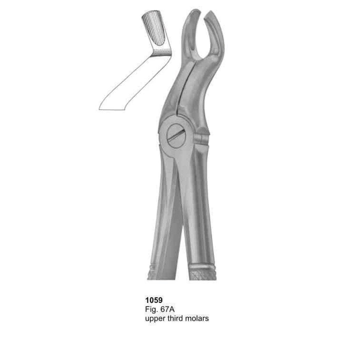 Extracting Forceps (English Pattern)