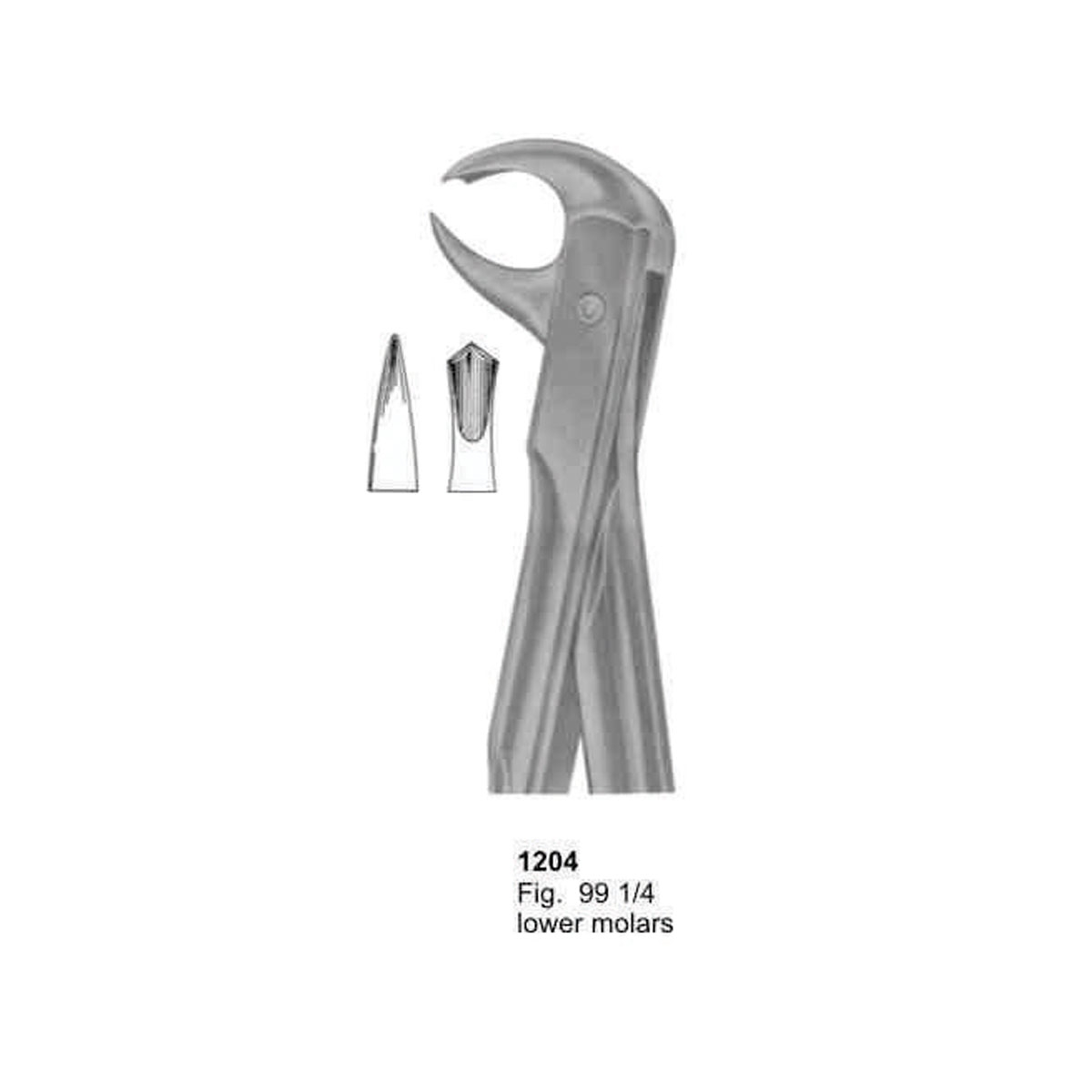 Extracting Forceps (With Fitting Handle)