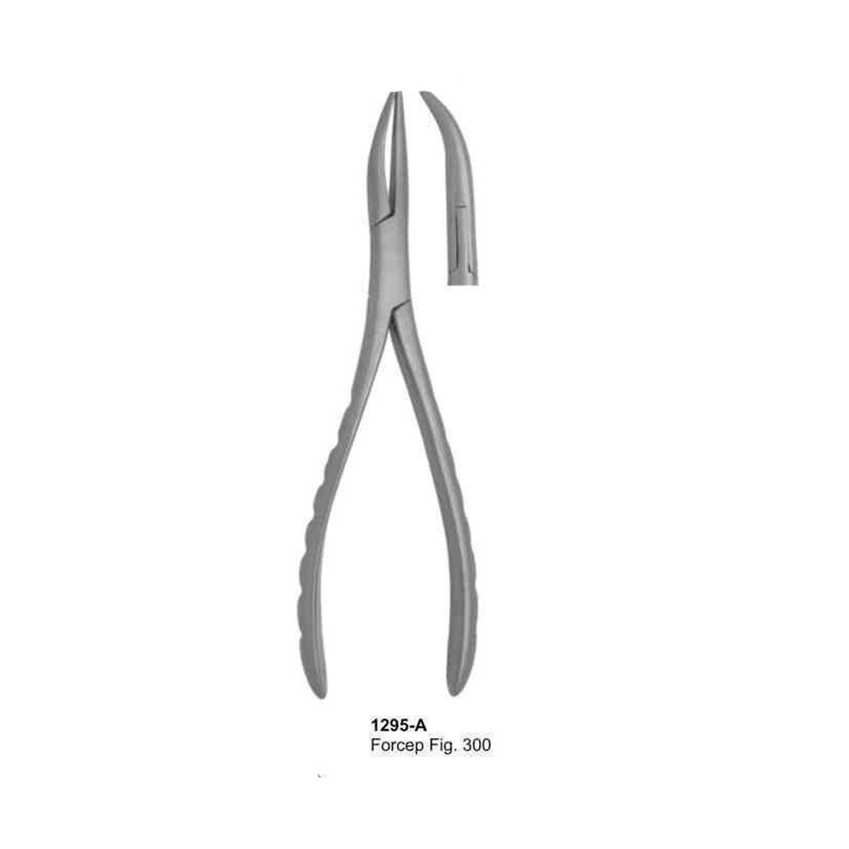 Extracting Forceps (American Pattern)