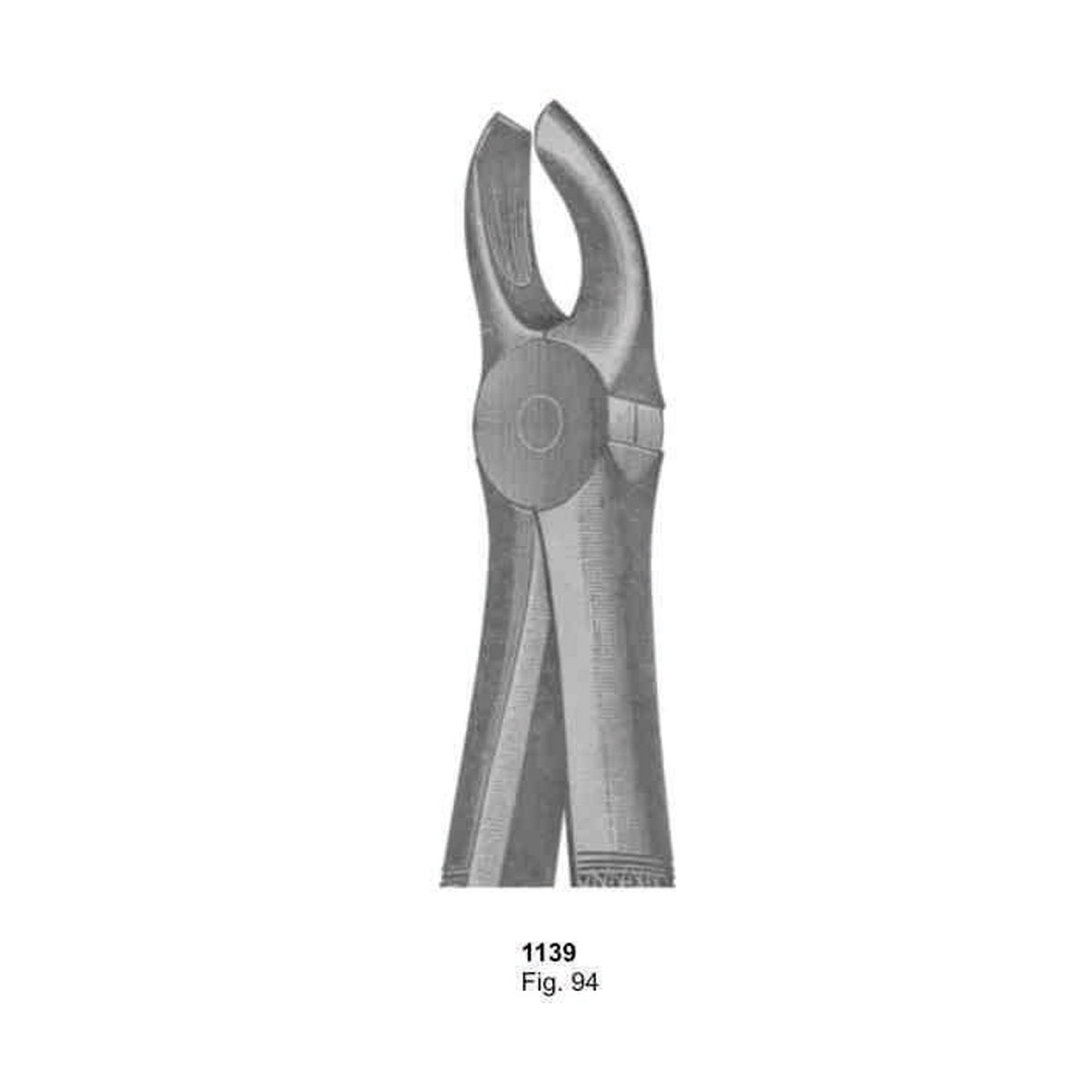 Extracting Forceps (English Pattern)