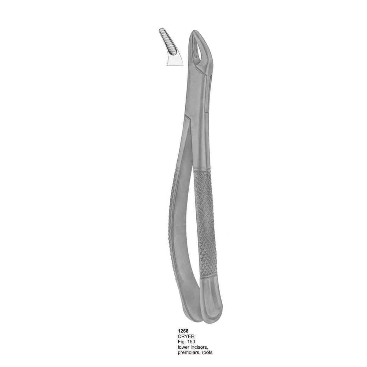 Extracting Forceps (American Pattern) 