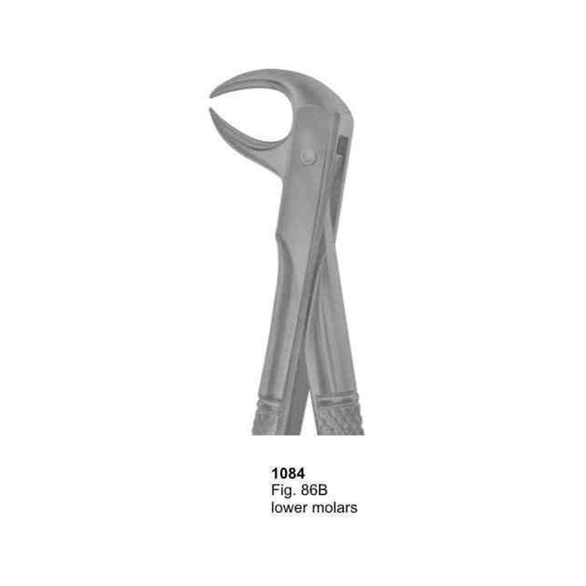 Extracting Forceps (English Pattern)