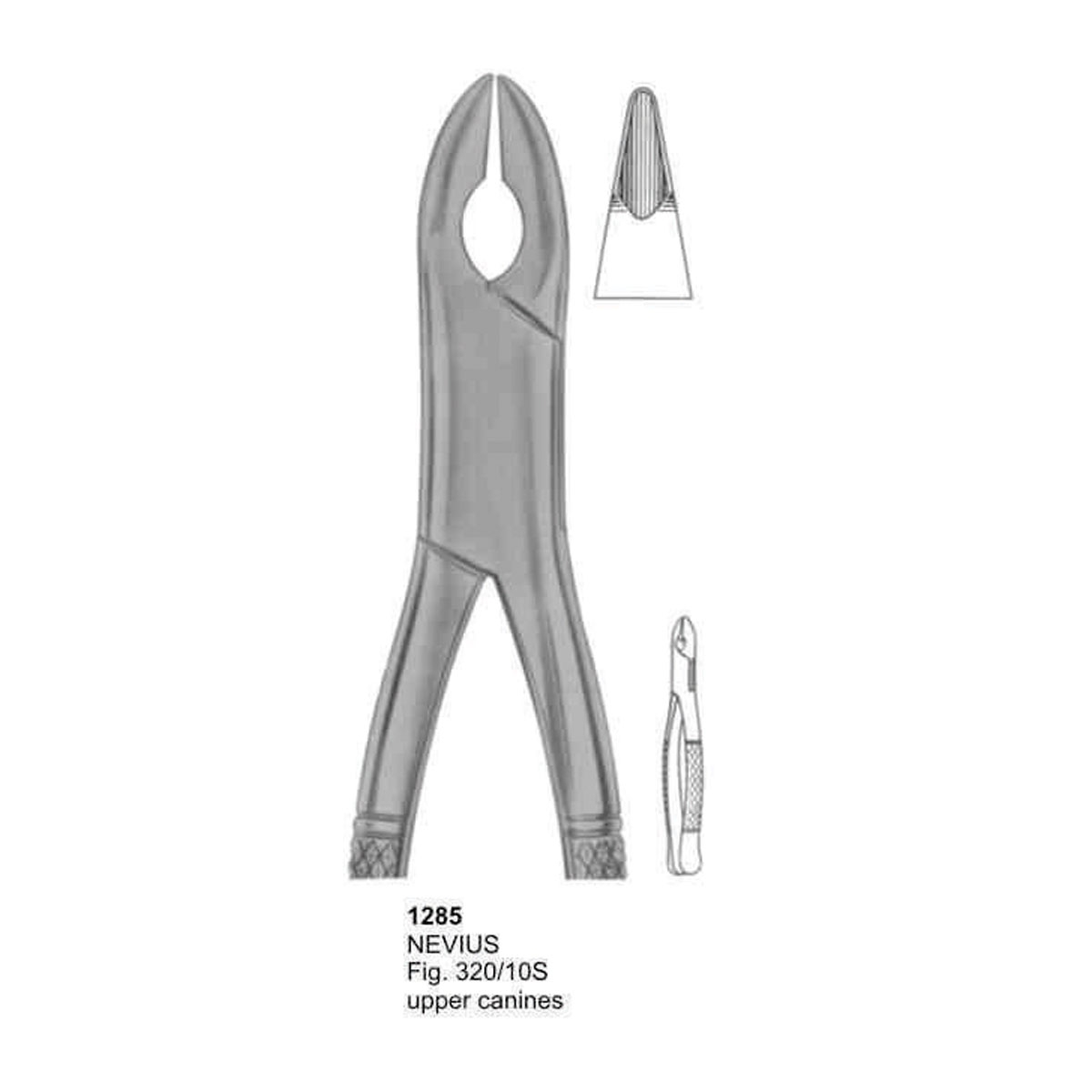 Extracting Forceps (American Pattern)