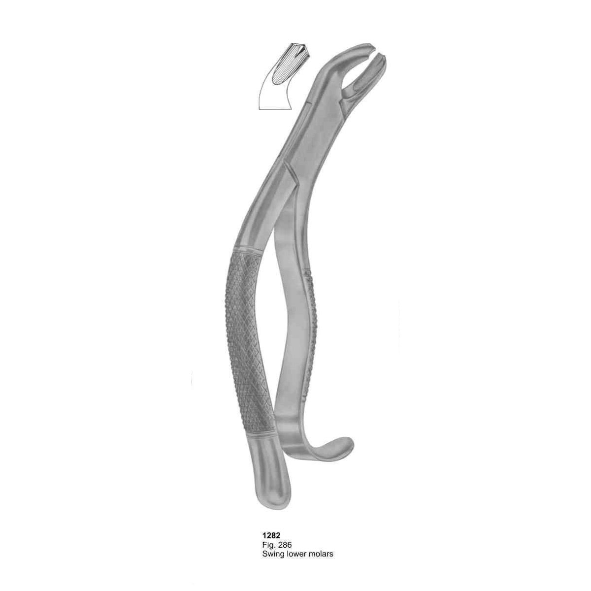 Extracting Forceps (American Pattern)