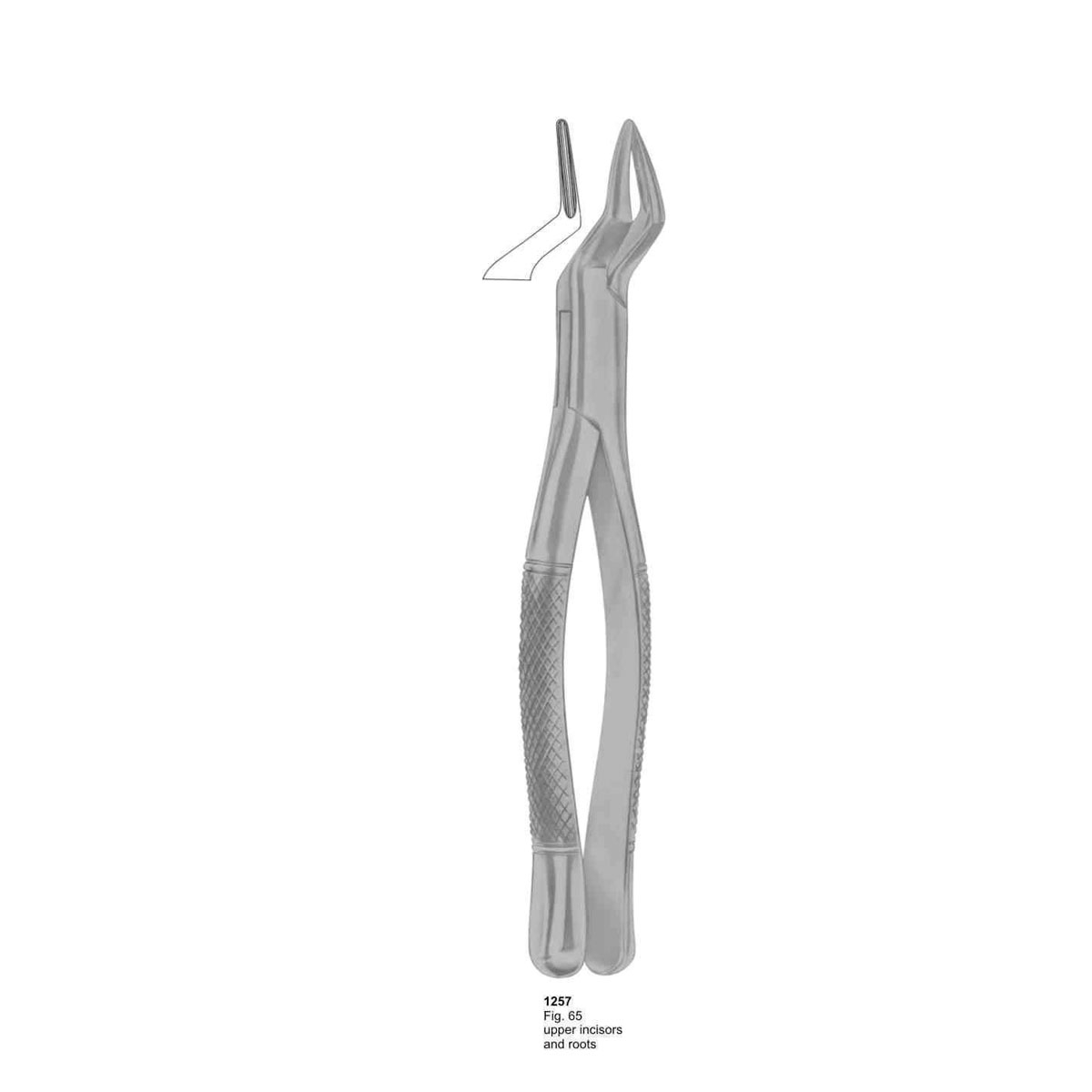 Extracting Forceps (American Pattern) 