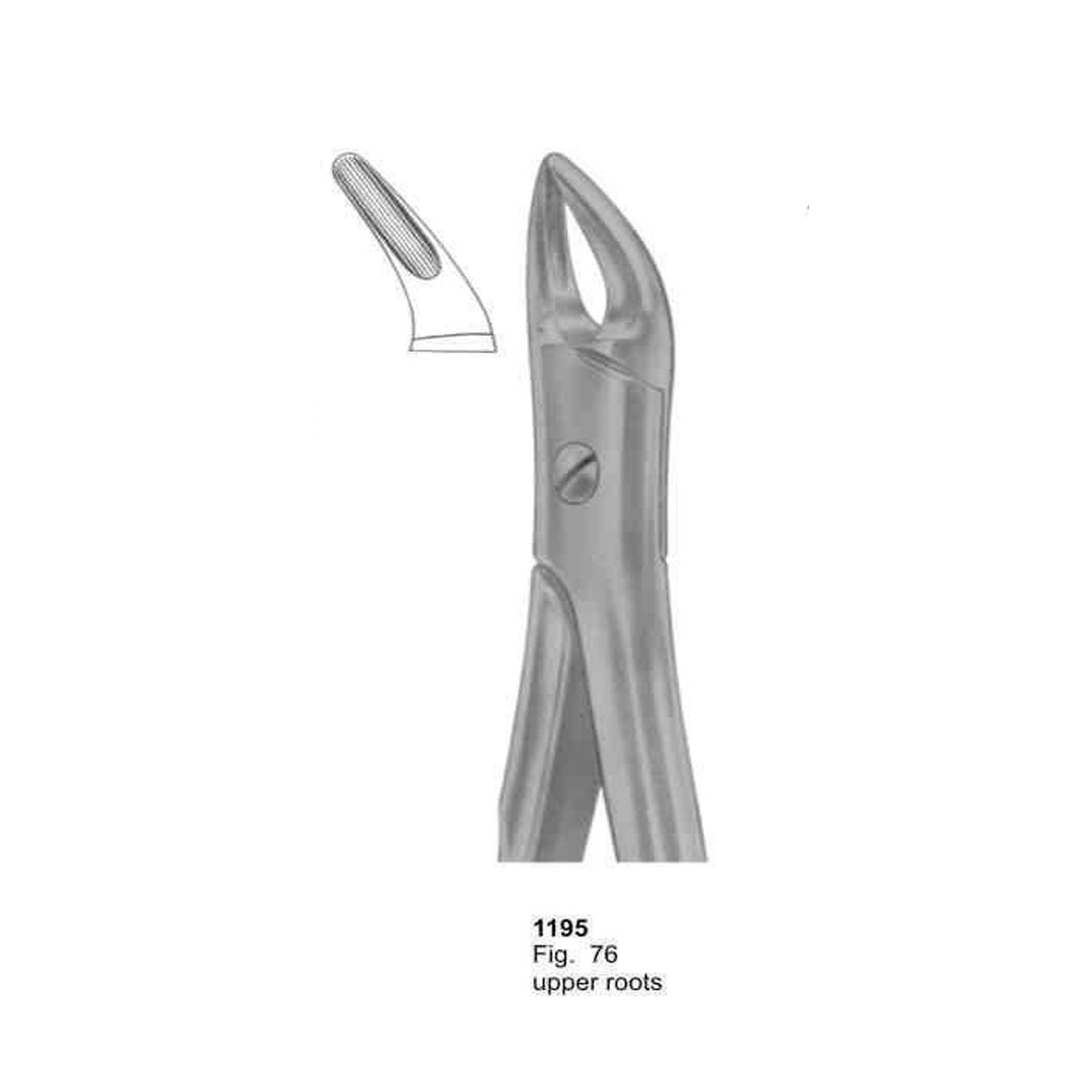 Extracting Forceps (With Fitting Handle)