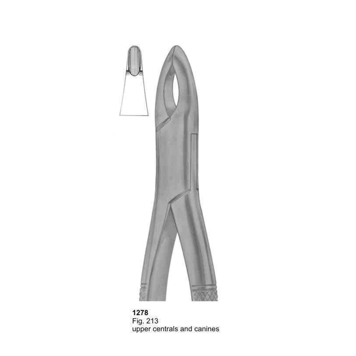 Extracting Forceps (American Pattern)