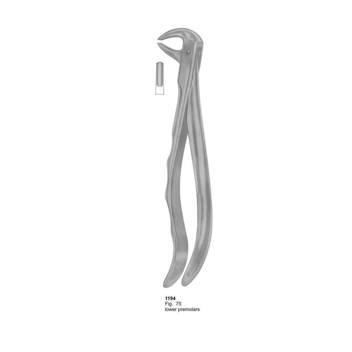 Extracting Forceps (With Fitting Handle)