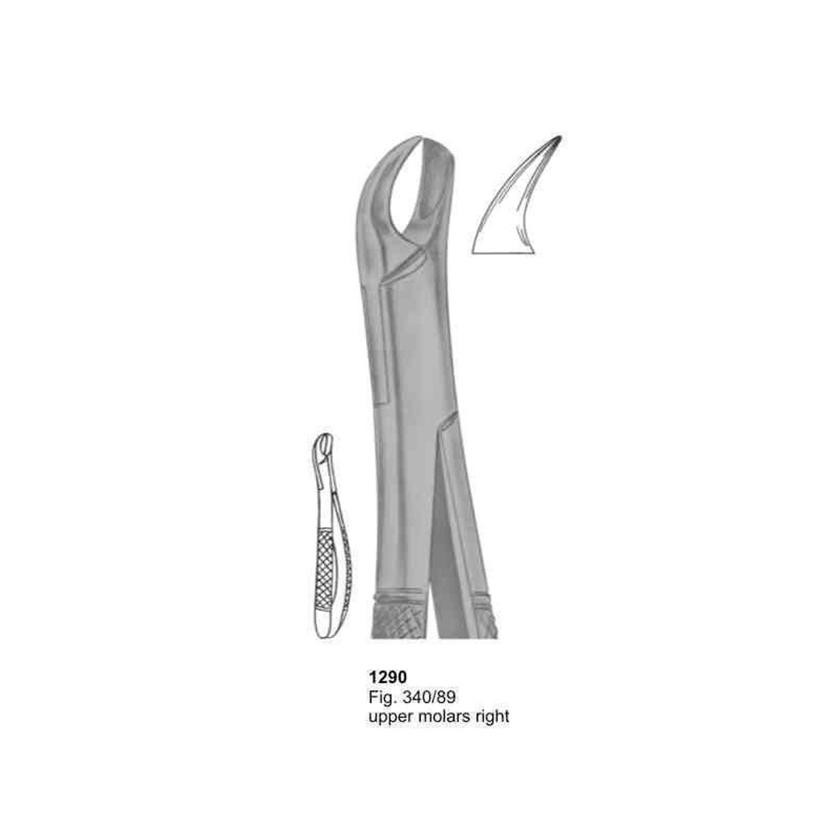 Extracting Forceps (American Pattern)