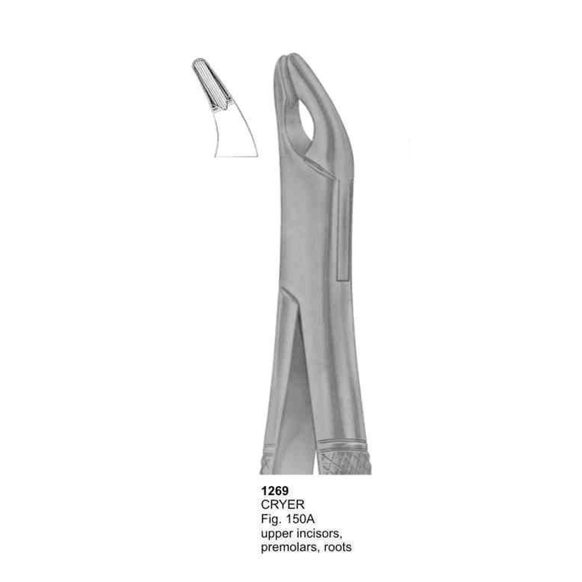 Extracting Forceps (American Pattern) 