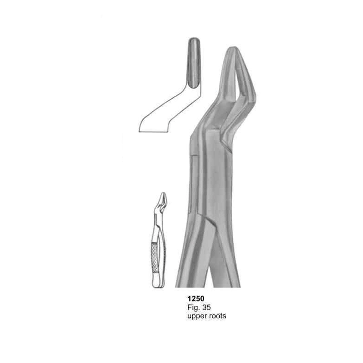 Extracting Forceps (American Pattern)  