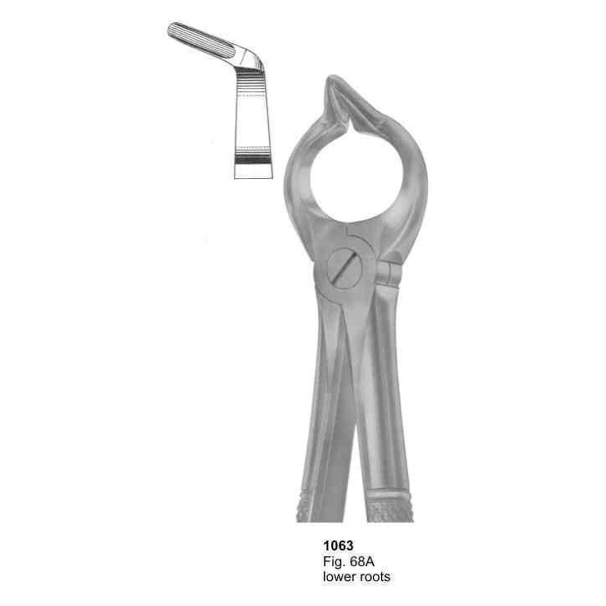 Extracting Forceps (English Pattern)