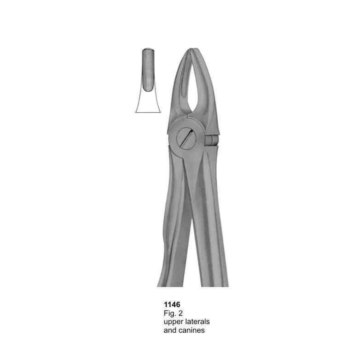 Extracting Forceps (With Fitting Handle)