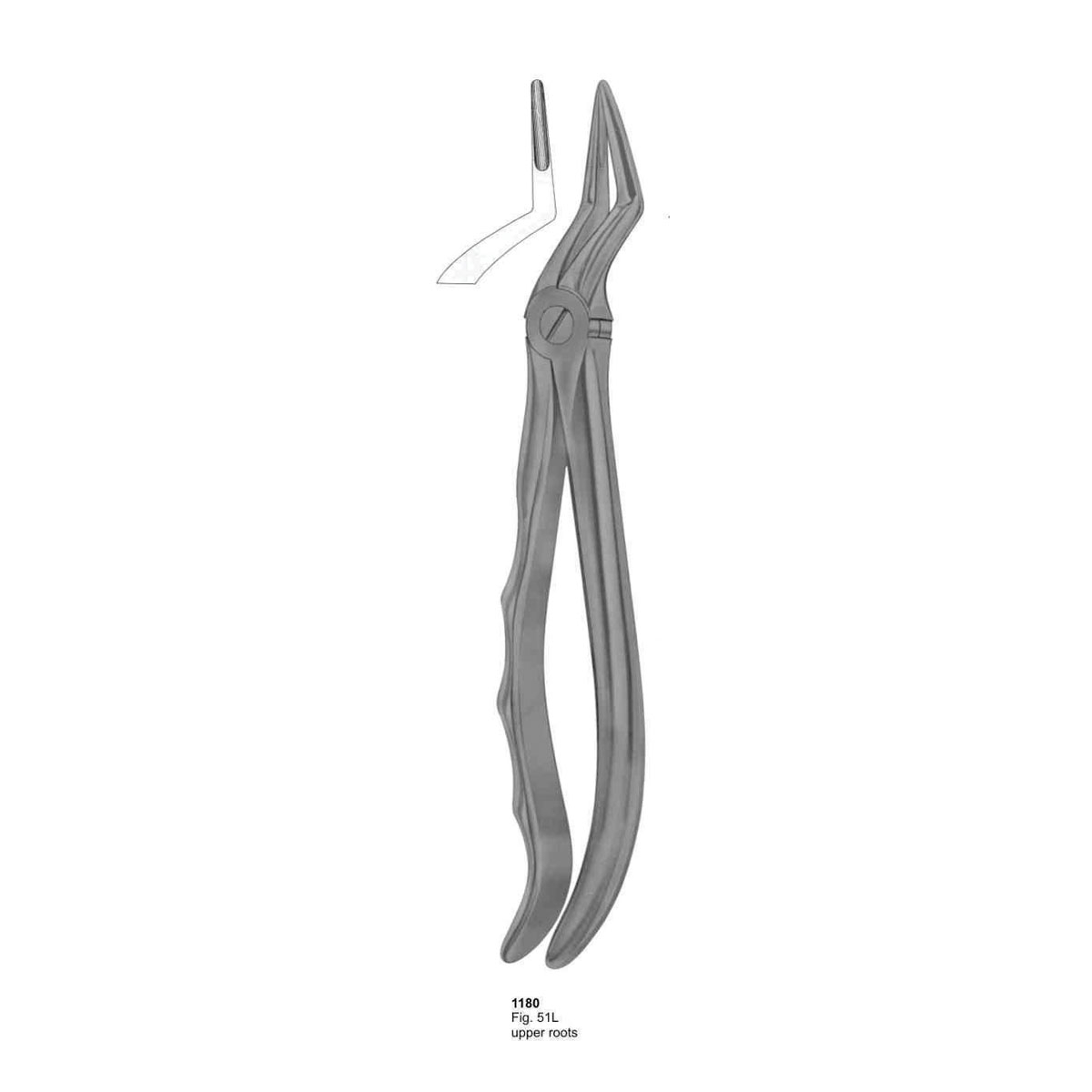 Extracting Forceps (With Fitting Handle)