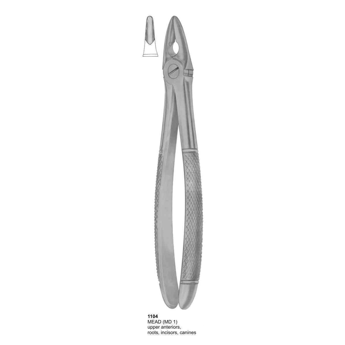 Extracting Forceps (English Pattern)