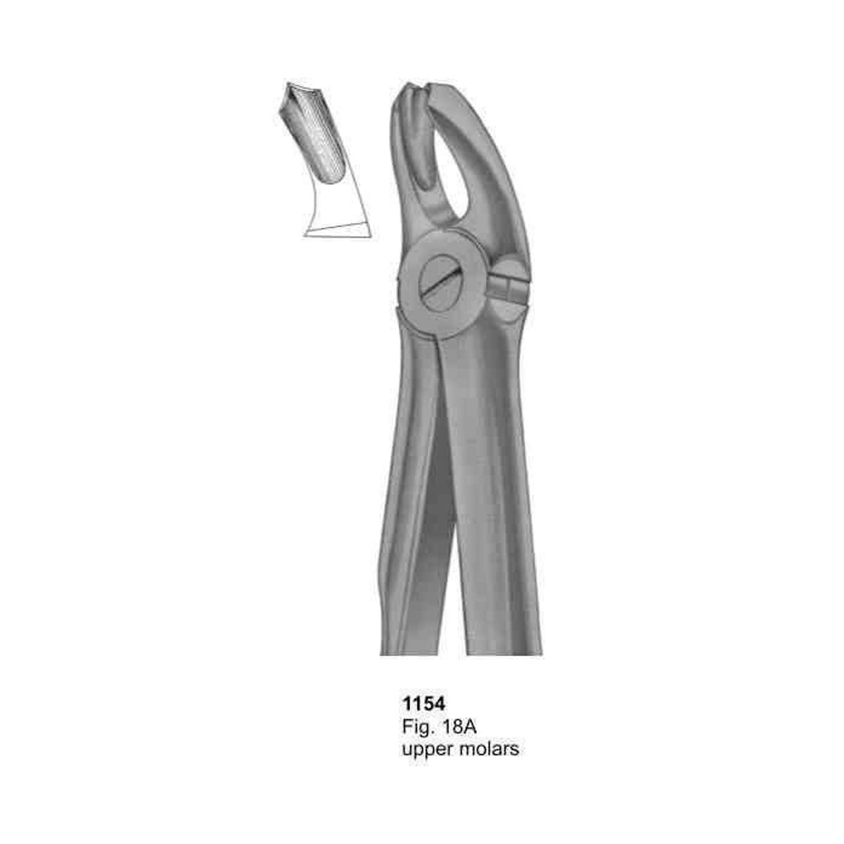 Extracting Forceps (With Fitting Handle)