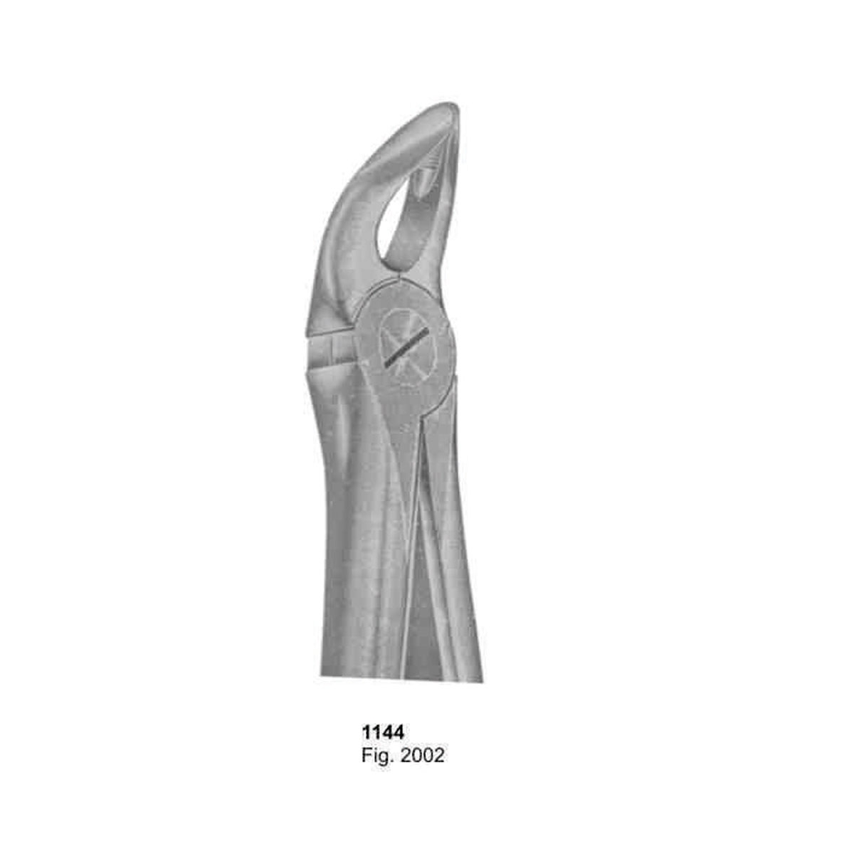 Extracting Forceps (English Pattern)