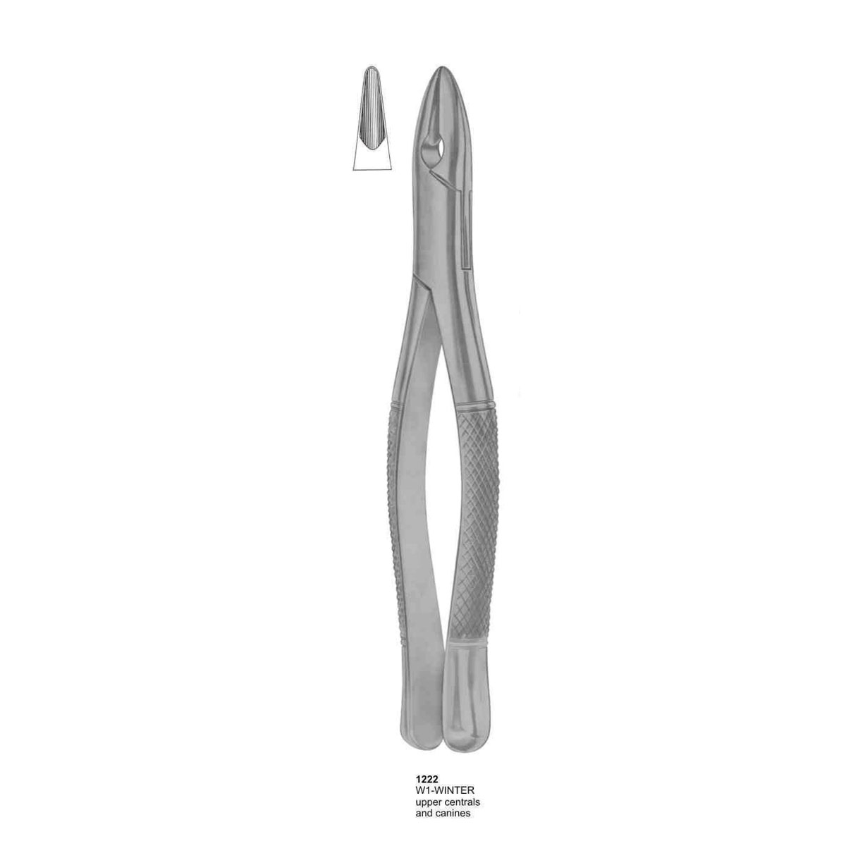 Extracting Forceps (American Pattern)