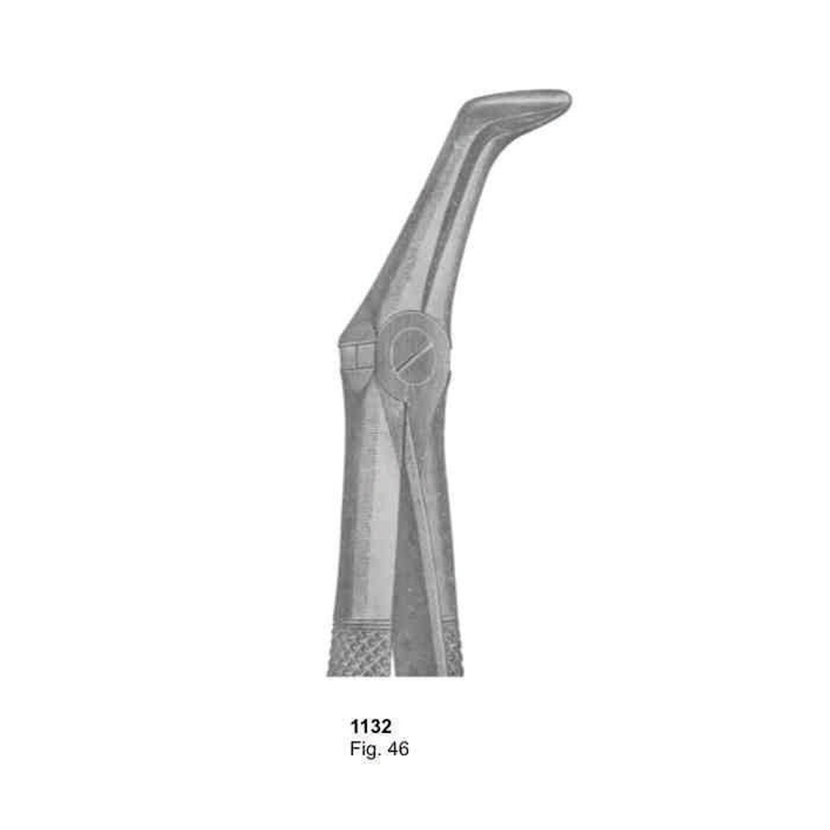 Extracting Forceps (English Pattern)