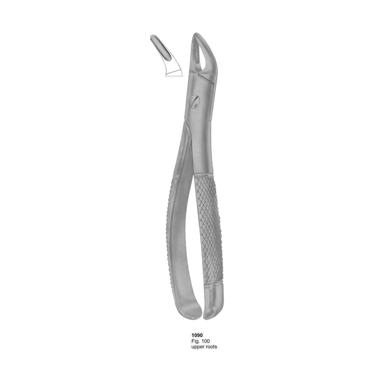 Extracting Forceps (English Pattern)