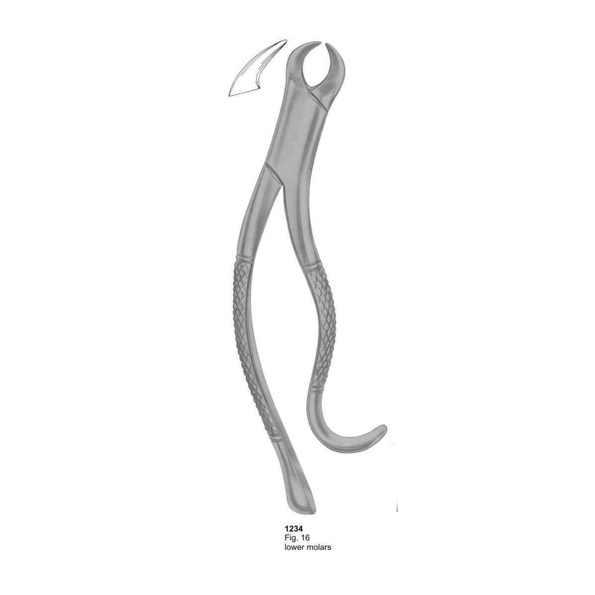 Extracting Forceps (American Pattern)