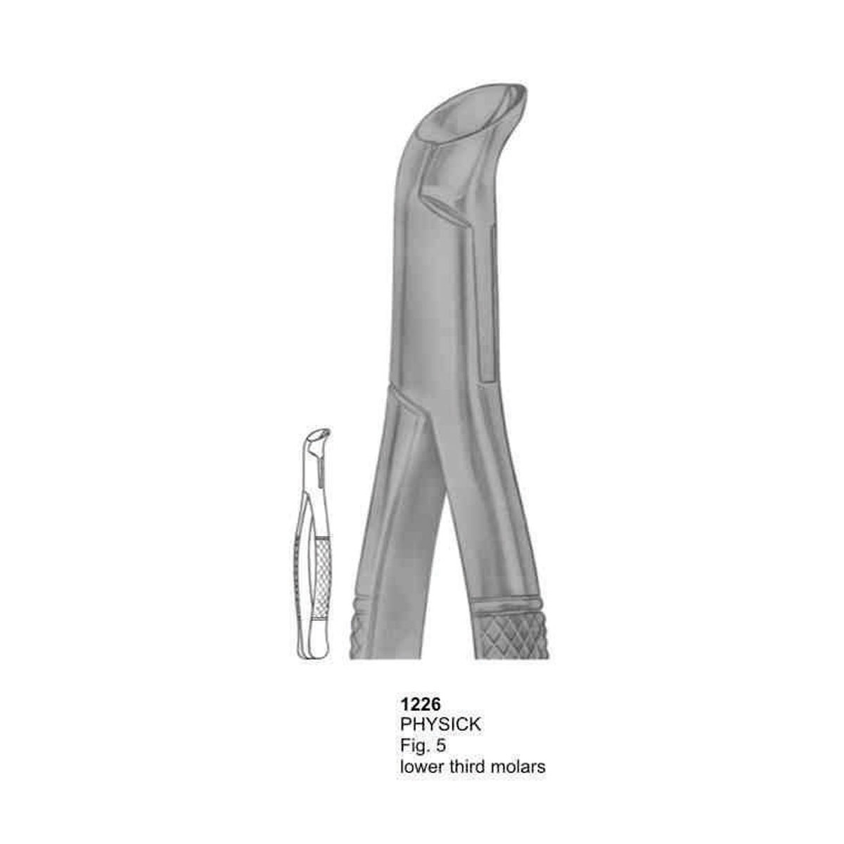 Extracting Forceps (American Pattern)