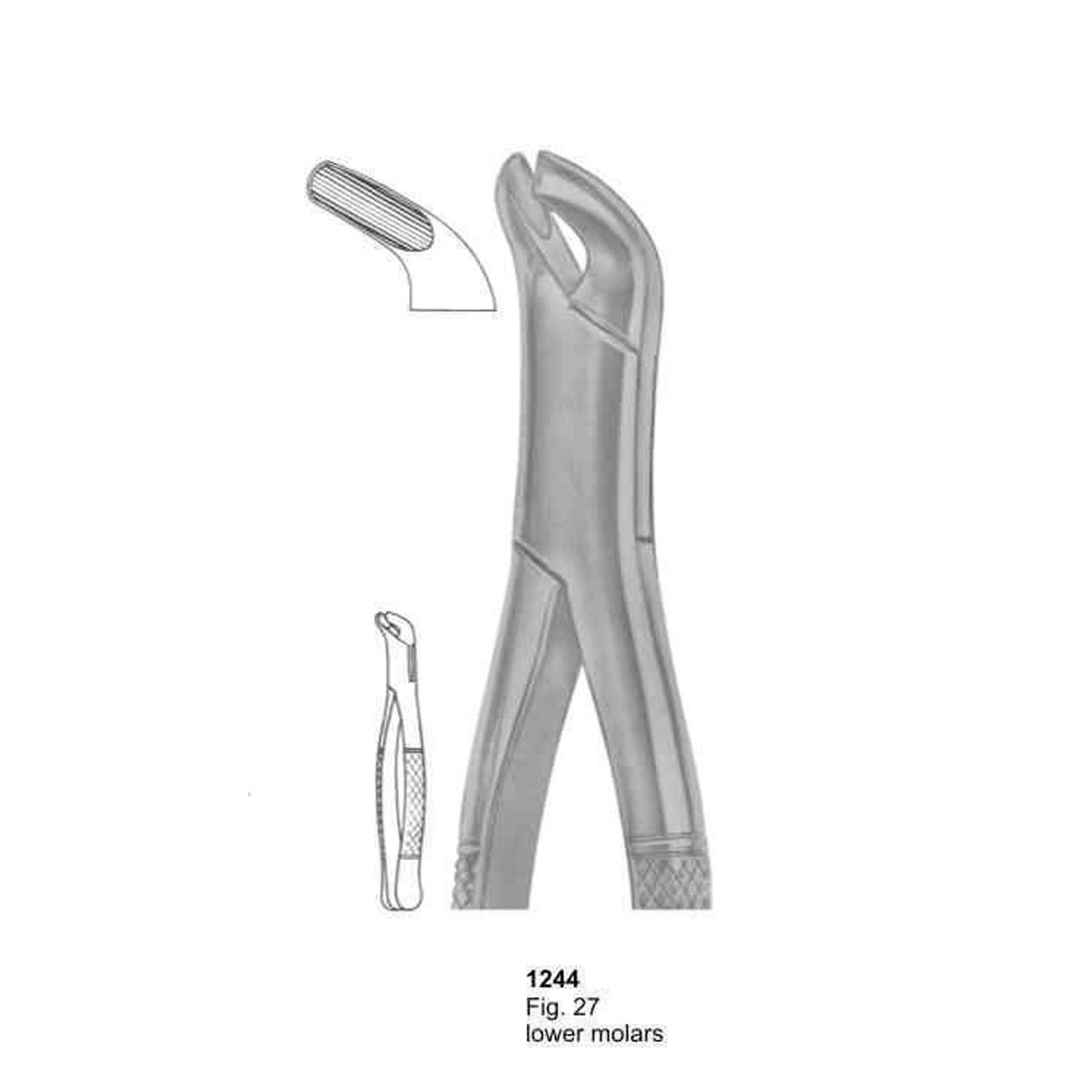 Extracting Forceps (American Pattern)