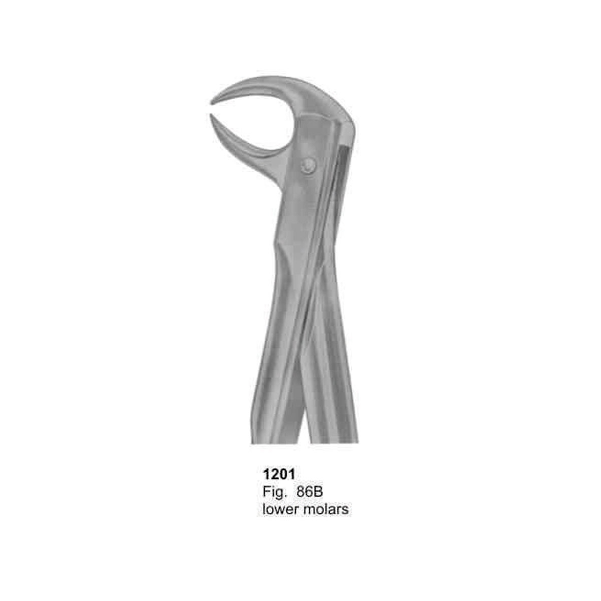 Extracting Forceps (With Fitting Handle)