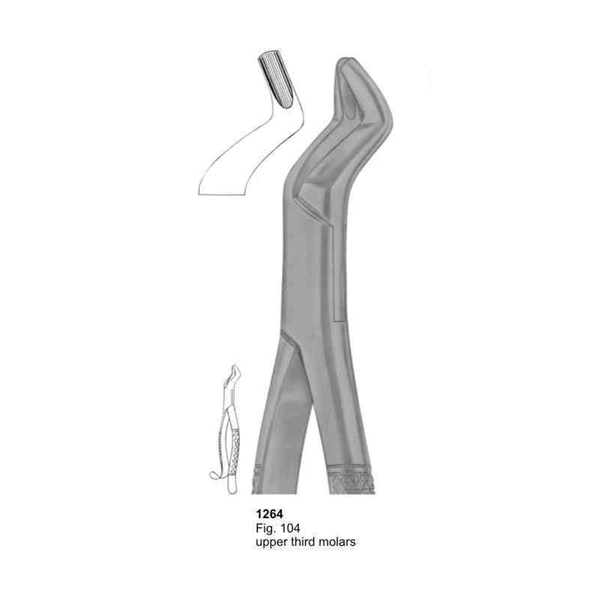 Extracting Forceps (American Pattern) 