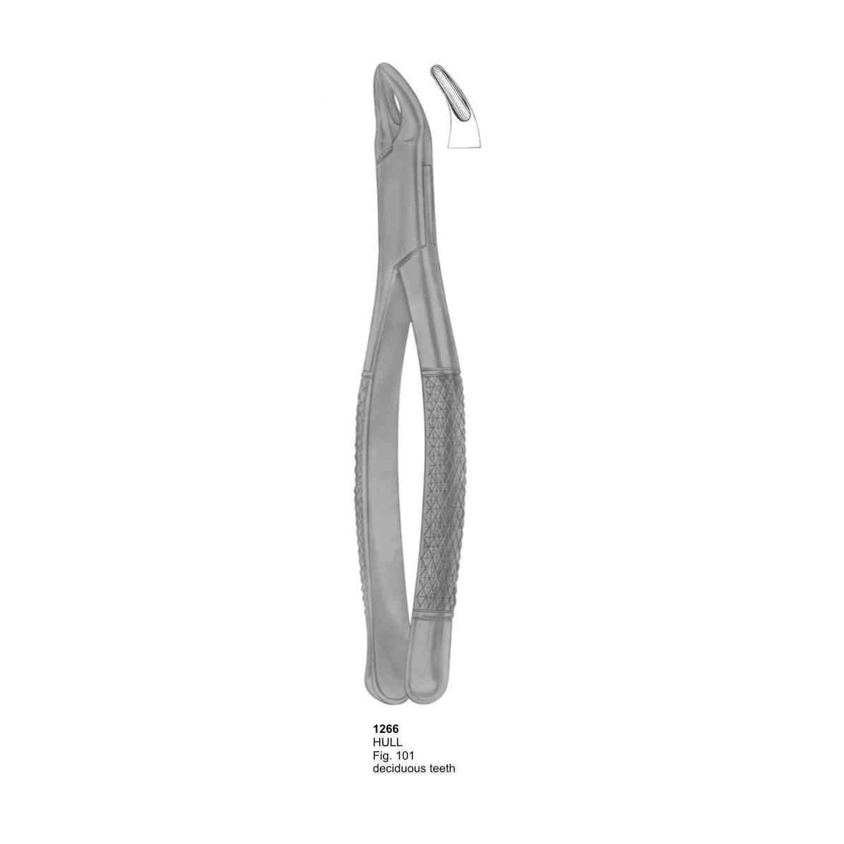 Extracting Forceps (American Pattern) 