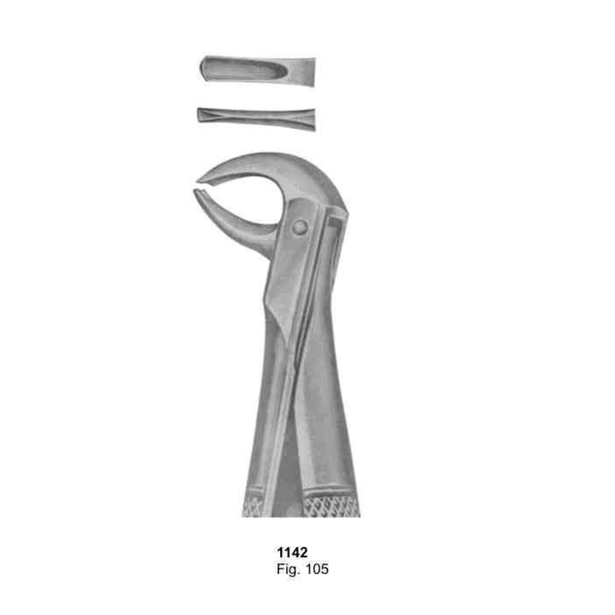 Extracting Forceps (English Pattern)