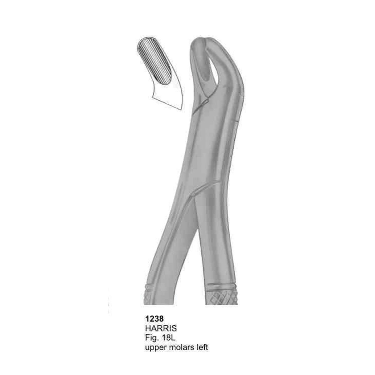 Extracting Forceps (American Pattern)