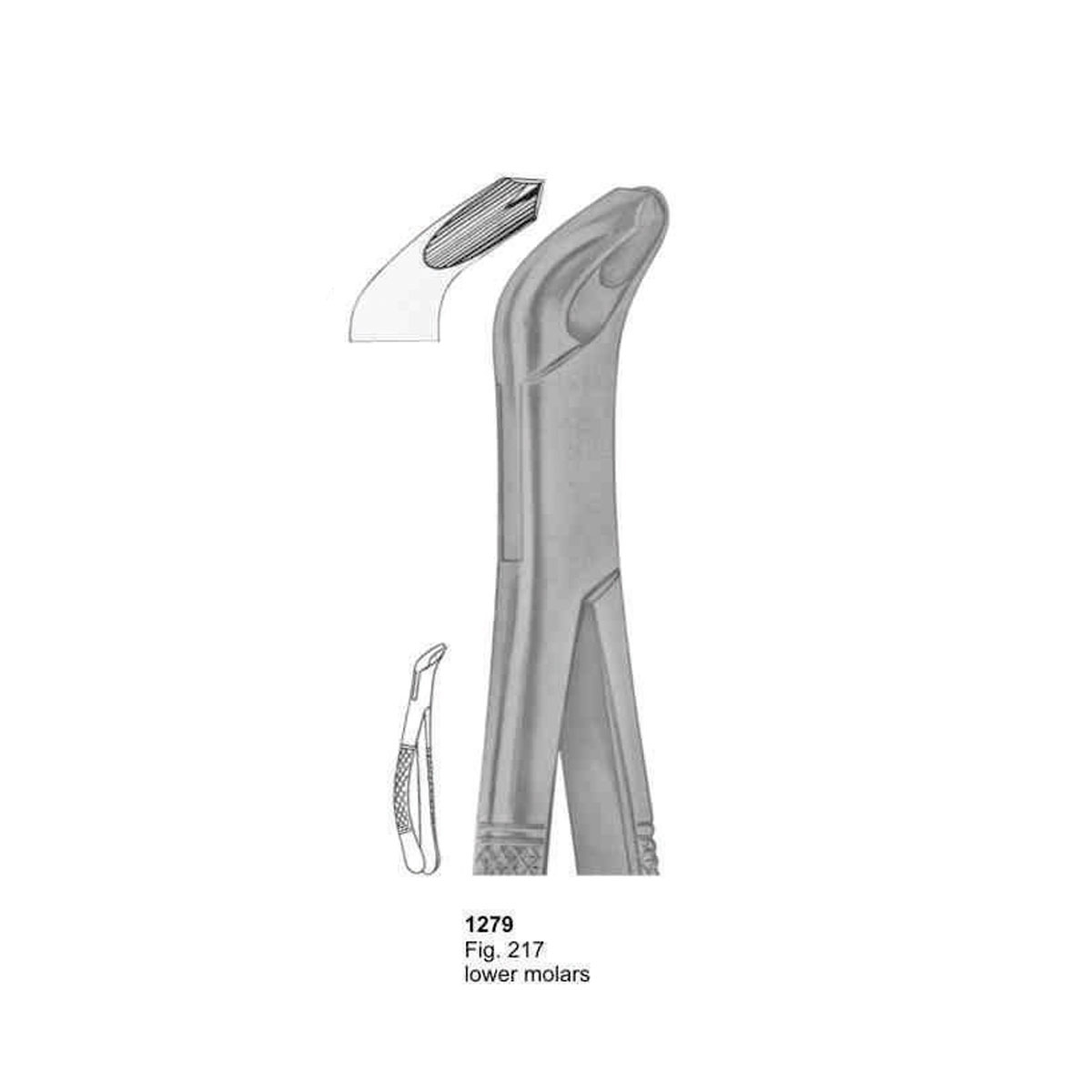 Extracting Forceps (American Pattern)