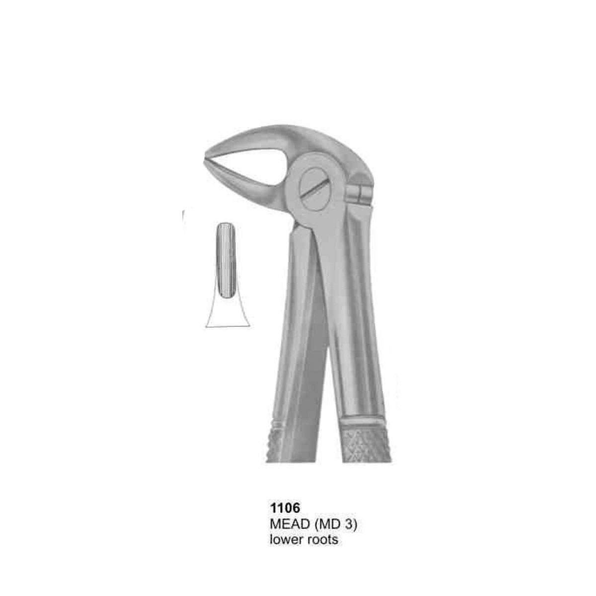 Extracting Forceps (English Pattern)