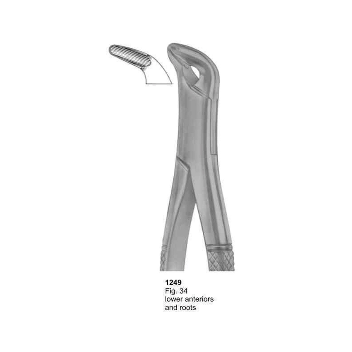 Extracting Forceps (American Pattern)  