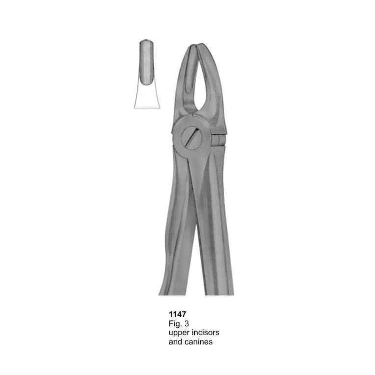 Extracting Forceps (With Fitting Handle)