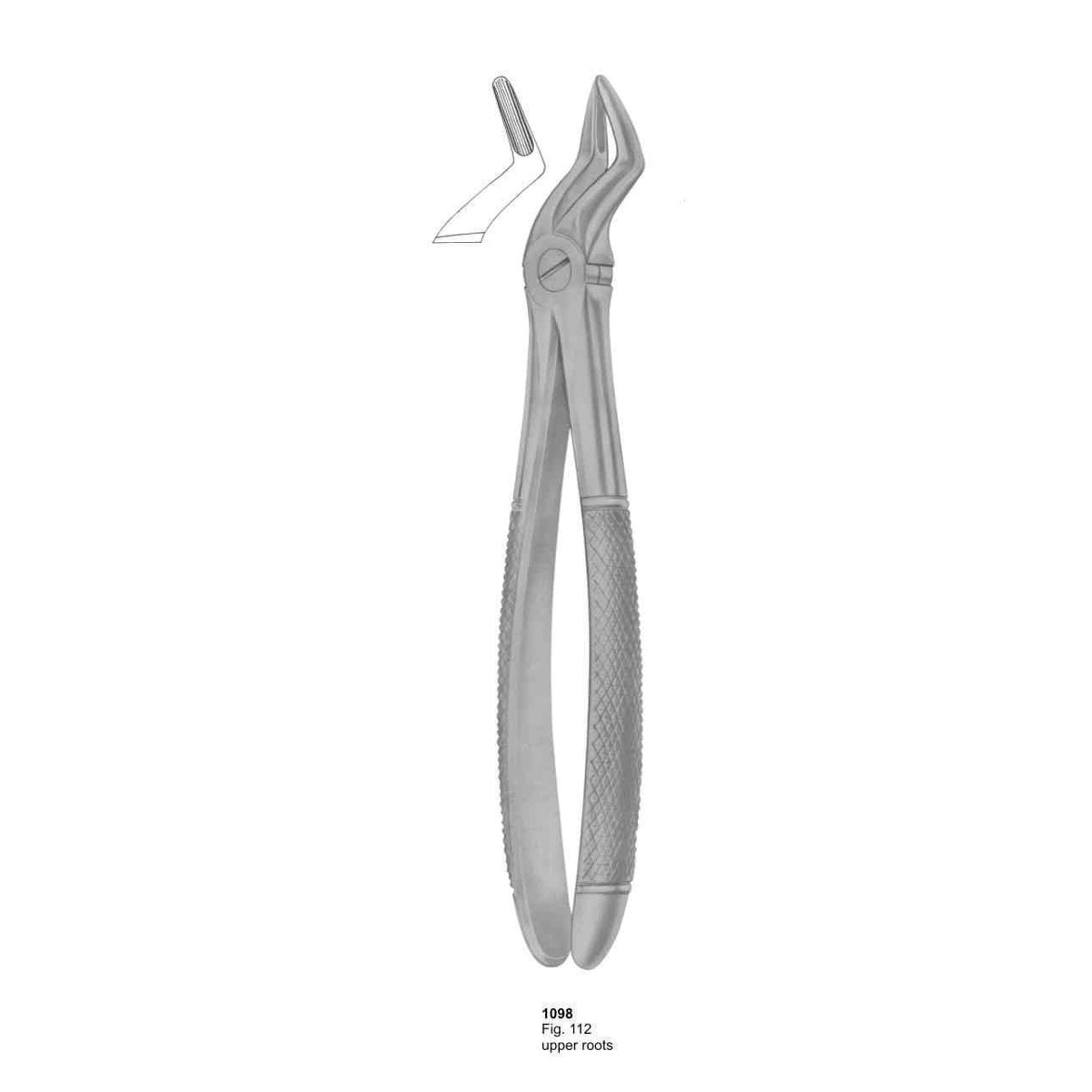 Extracting Forceps (English Pattern)